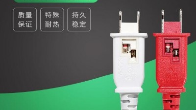 2021年，我們不見不散-電源線廠家